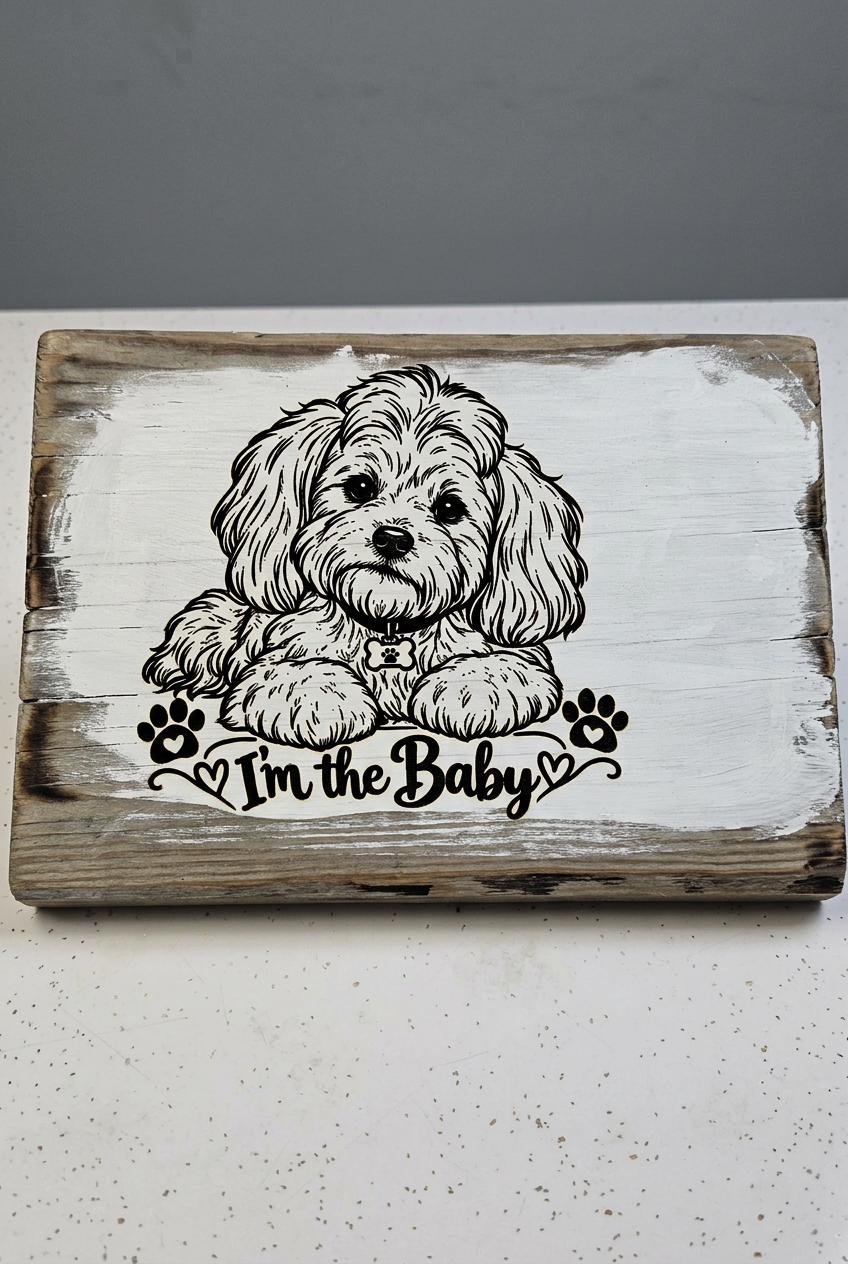 Maltese baby